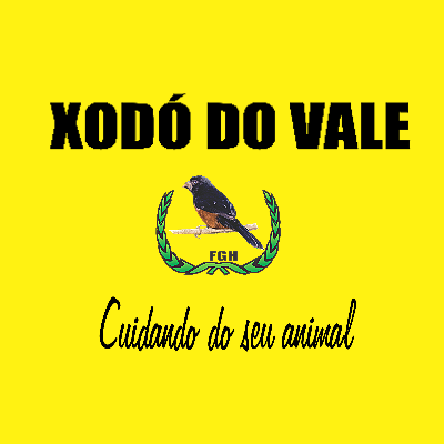 XODÓ DO VALE